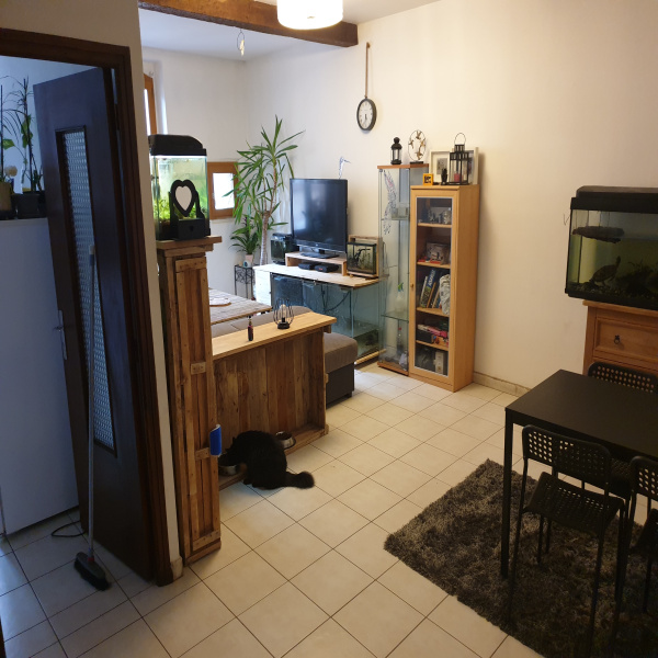 Offres de location Appartement Lisle-sur-Tarn 81310