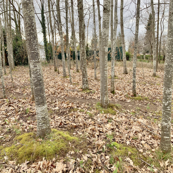 Offres de vente Terrain Cunac 81990